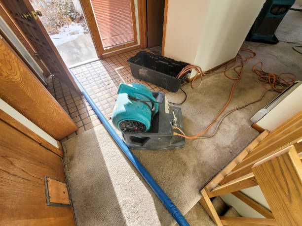 Best Commercial water damage restoration  in Pierre, SD