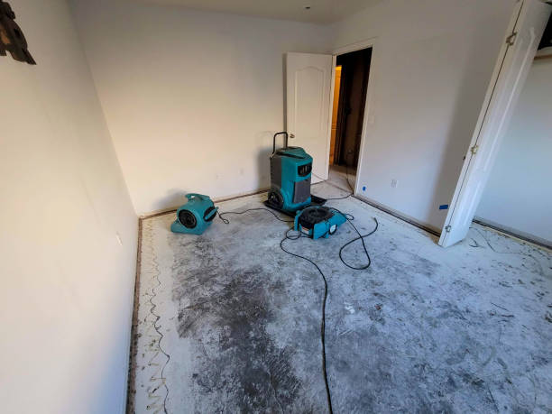 Best Water damage restoration near me  in Pierre, SD