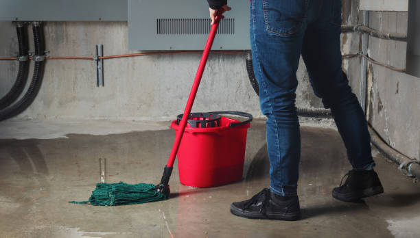 Best Local water damage restoration  in Pierre, SD