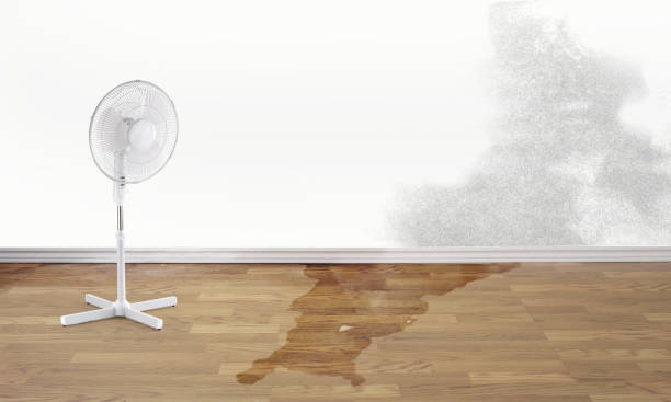 Best Water damage restoration cost  in Pierre, SD