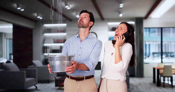 Best Fire Damage Restoration  in Pierre, SD